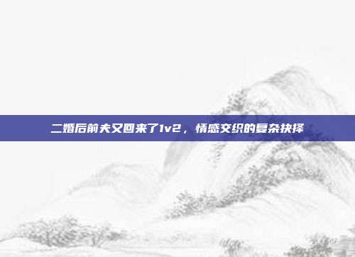 二婚后前夫又回来了1v2，情感交织的复杂抉择